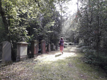 Ehrenfriedhof Aachen (7)