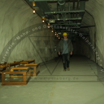 Walpersberg Tunnel (1)