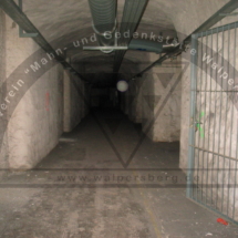 Walpersberg Tunnel (10)