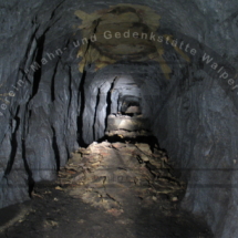 Walpersberg Tunnel (13)